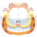 Garfield vol.1-1